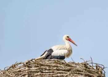 EAttachments9389574eac79d5adc5b83253719717fa623946b xl