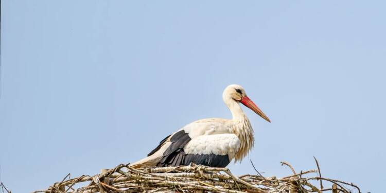 EAttachments9389574eac79d5adc5b83253719717fa623946b xl