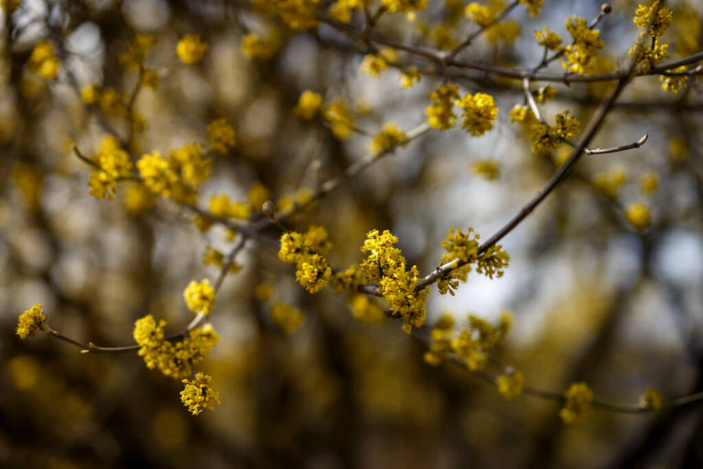 EAttachments94054127edac9f4060649cb8493cf2b47252ad9 xl