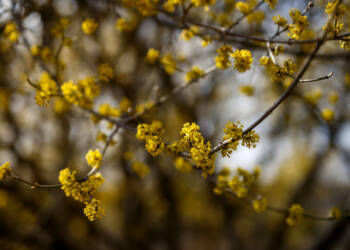 EAttachments94054127edac9f4060649cb8493cf2b47252ad9 xl