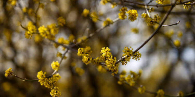 EAttachments94054127edac9f4060649cb8493cf2b47252ad9 xl