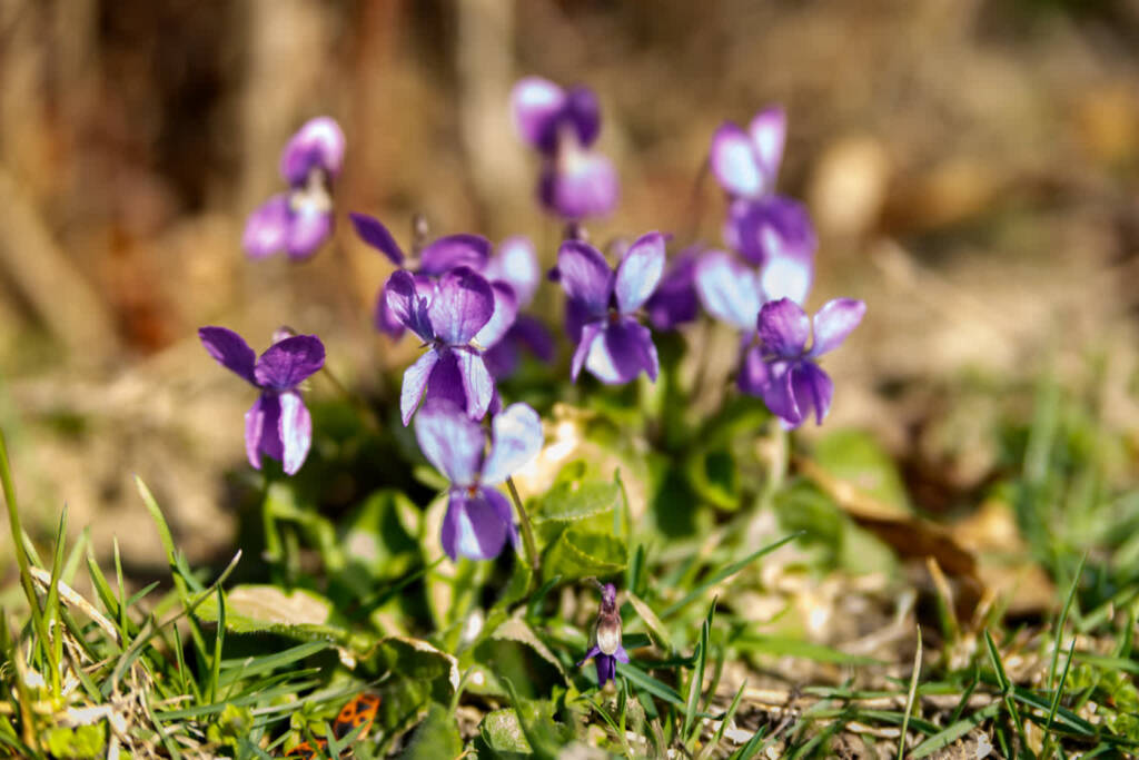 EAttachments9405412a861f25963a8e9986f8bc355723088b0 xl