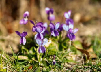 EAttachments9405412a861f25963a8e9986f8bc355723088b0 xl