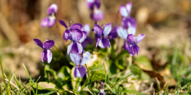 EAttachments9405412a861f25963a8e9986f8bc355723088b0 xl