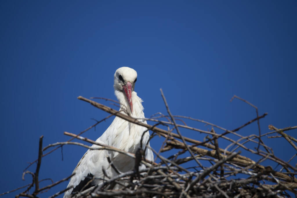 EAttachments94068452956ca0058028edff67ddcd8de1b4335 xl