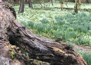 EAttachments9420155d5e43f9b77d9912914de00fc111e9cc0 xl