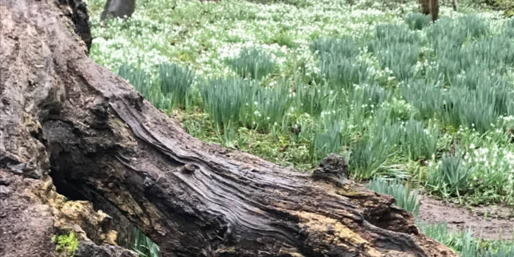 05.04.2026 Nie tylko rozrywkowa niedziela radiowa 1 EAttachments9420155d5e43f9b77d9912914de00fc111e9cc0 xl