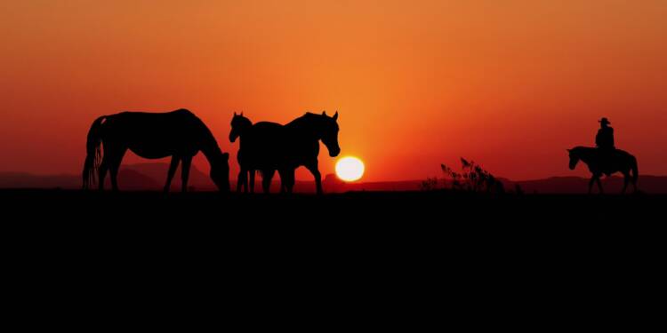 EAttachments942615283816c8c0ec48c6b32ff0e2fe11ec94e xl