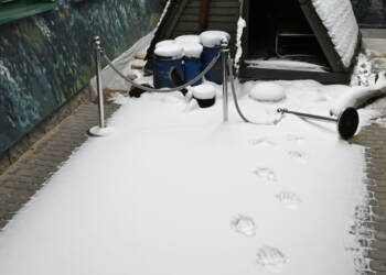 EAttachments94263031e2f580dffe4b7b9ec5f5e2fbc743487 xl