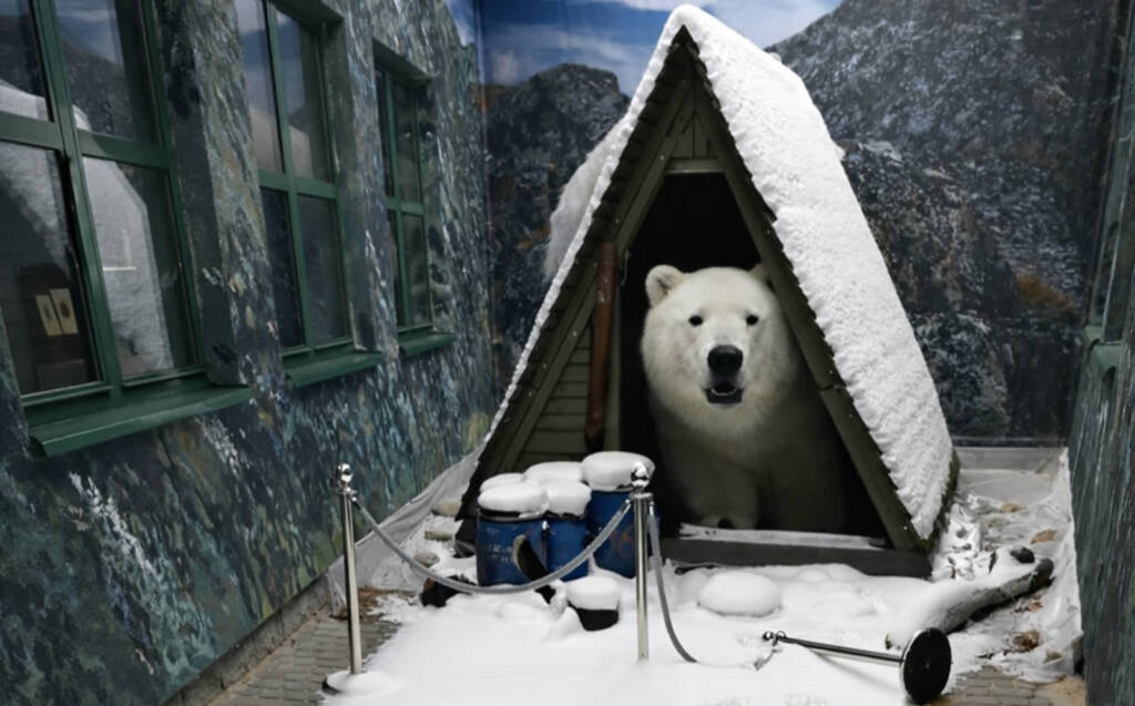 EAttachments9426513a7b0820ffca0d4238665cff65e3c822b xl