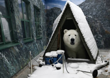 EAttachments9426513a7b0820ffca0d4238665cff65e3c822b xl