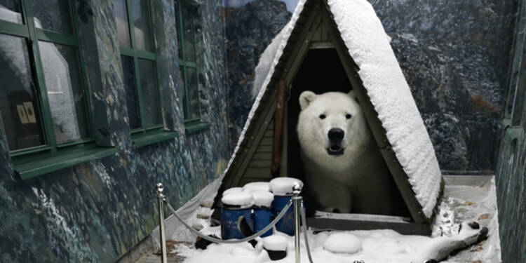 EAttachments9426513a7b0820ffca0d4238665cff65e3c822b xl