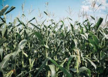 EAttachments942761865e5473af06b530c32bc3829342b77ac xl