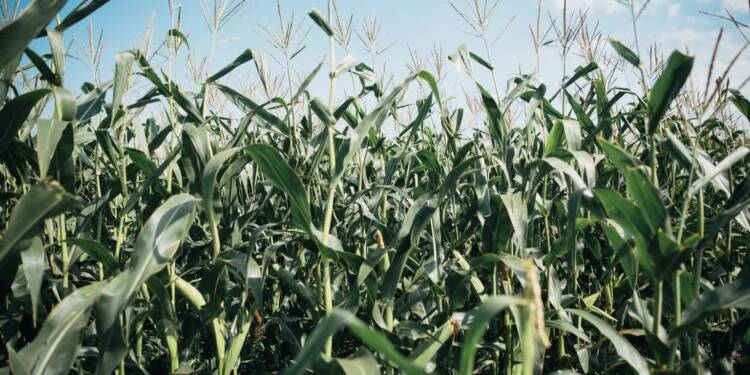 EAttachments942761865e5473af06b530c32bc3829342b77ac xl