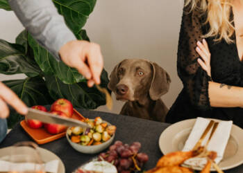 EAttachments9428434a401b67d02e168028ac122924b595445 xl