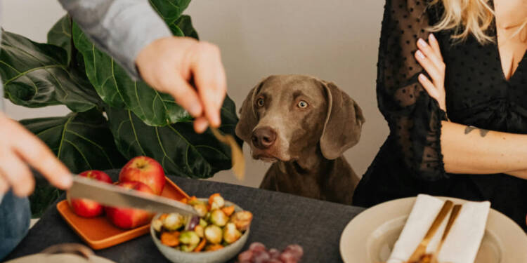 EAttachments9428434a401b67d02e168028ac122924b595445 xl