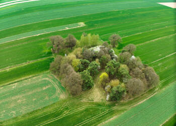 05.04.2026 Magda Grydniewska "Krzaczki w gminie Jabłonna" 4 0.9.142