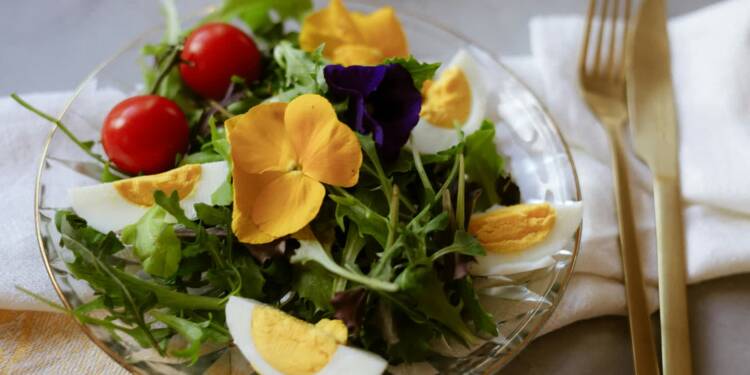 EAttachments9429902c2c2236c1589cfa97883171257d994ec xl