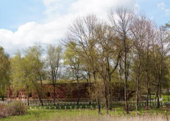 EAttachments943110464d1c483a98350437be8a57936829c1d xl