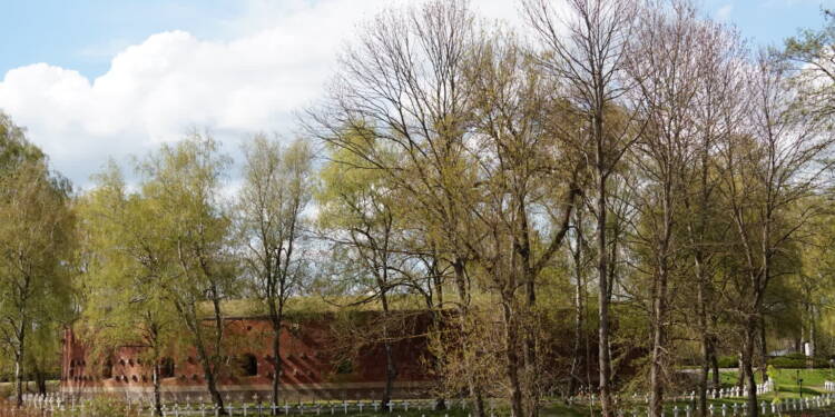 EAttachments943110464d1c483a98350437be8a57936829c1d xl