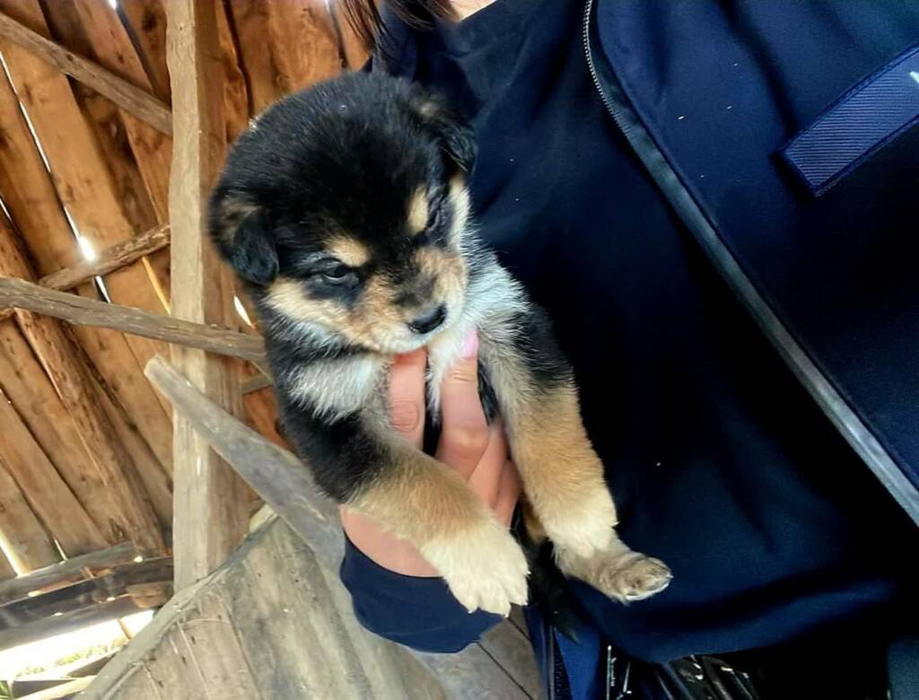 EAttachments943139452b93fafeebe0b31a6a8c69d207c8a5e xl