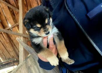 EAttachments943139452b93fafeebe0b31a6a8c69d207c8a5e xl