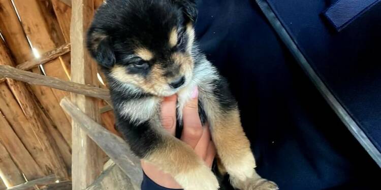 EAttachments943139452b93fafeebe0b31a6a8c69d207c8a5e xl