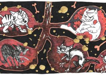 EAttachments9431422374e3dc7a58d038e1497e53f731eef10 xl