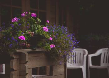 04.04.2026 Poradnik działkowca - dlaczego warto uprawiać ogród? 2 EAttachments943183270d24e44e742f567372ac932047ce5d6 xl