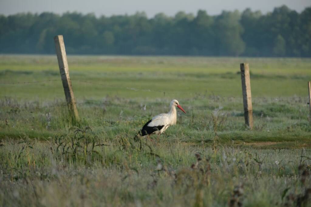 EAttachments94318814efe55c07af11535fb32d6822c727fad xl