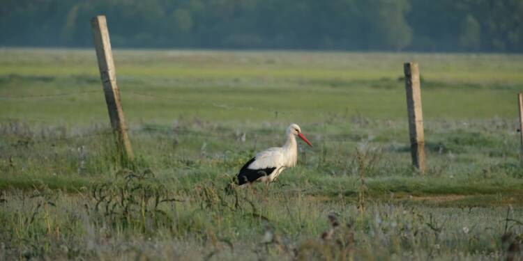 EAttachments94318814efe55c07af11535fb32d6822c727fad xl