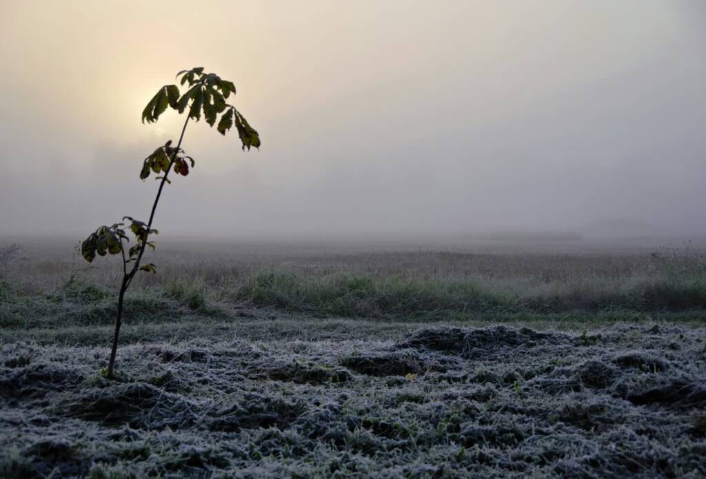 EAttachments9433037e6d2f9511ddb176f17560ba8fe1837ea xl