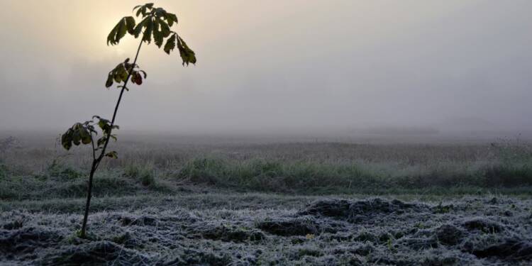 EAttachments9433037e6d2f9511ddb176f17560ba8fe1837ea xl