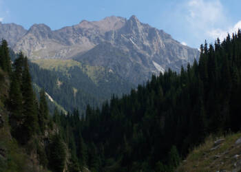 EAttachments94331681a8484a350537f5e95e2d215363c2306 xl