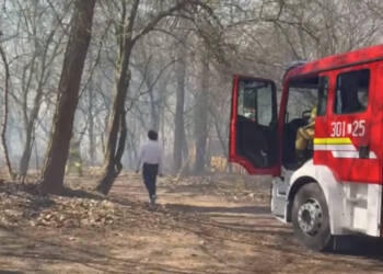 EAttachments94343439850f0fd35c01f784f5c2a989e96b2b4 xl