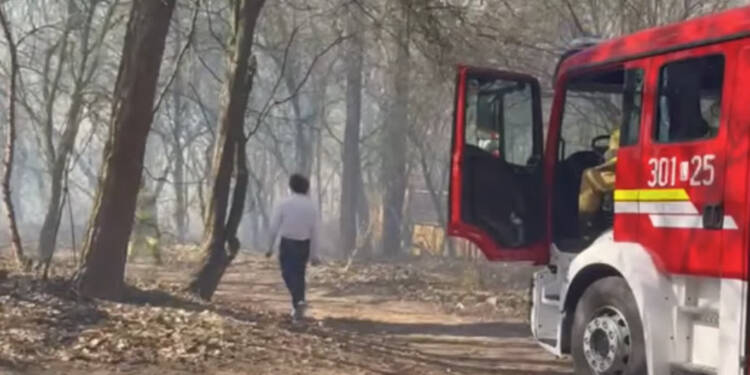 EAttachments94343439850f0fd35c01f784f5c2a989e96b2b4 xl