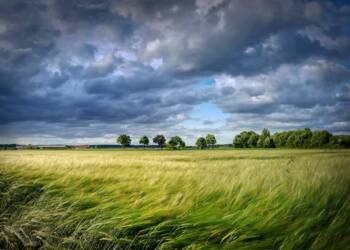 EAttachments94347397d2bf34341c3158819f2701d686a553e xl