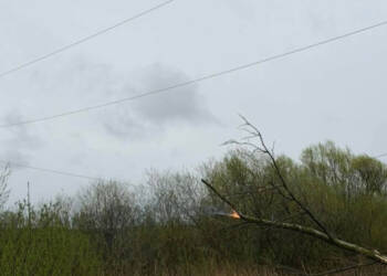 EAttachments943495854406559dc02cef3cbb5ef2ad3a105b4 xl