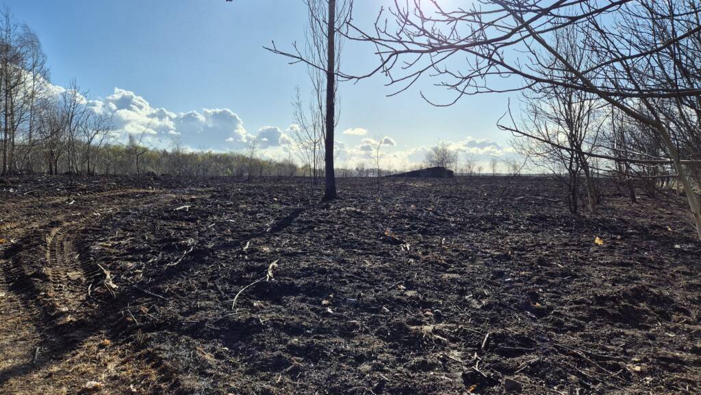 EAttachments9435500590ce6903eb2c7fc0c4690967a0d71cd 1