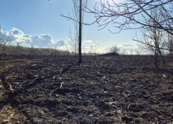 EAttachments9435500590ce6903eb2c7fc0c4690967a0d71cd 1