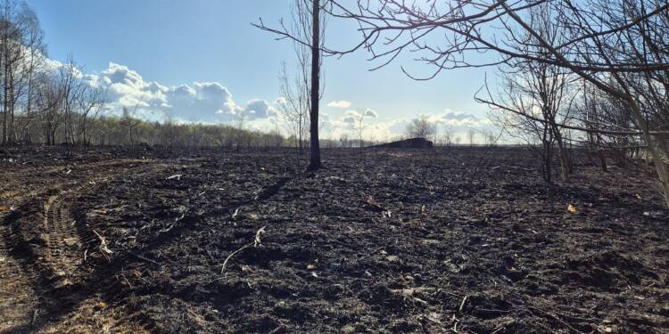 EAttachments9435500590ce6903eb2c7fc0c4690967a0d71cd 1