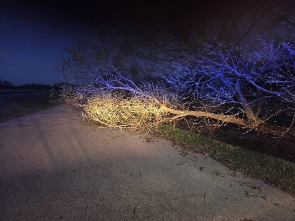 Po wichurach w Lubelskiem: spokojna noc po setkach interwencji 1 EAttachments9435873b9963f379beb3f1b638b8430e07b1855 xl