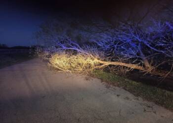 EAttachments9435873b9963f379beb3f1b638b8430e07b1855 xl