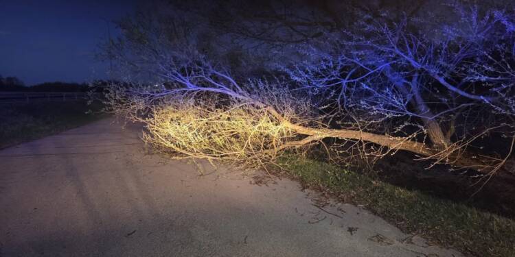 Po wichurach w Lubelskiem: spokojna noc po setkach interwencji 1 EAttachments9435873b9963f379beb3f1b638b8430e07b1855 xl