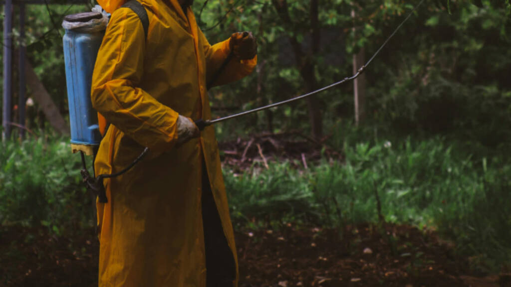 08.04.2026 Agrobiznes - nielegalne pestycydy 1 EAttachments94364955cd2fe92b5cfac6c343bf36e13331726 xl