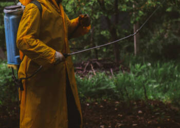 EAttachments94364955cd2fe92b5cfac6c343bf36e13331726 xl