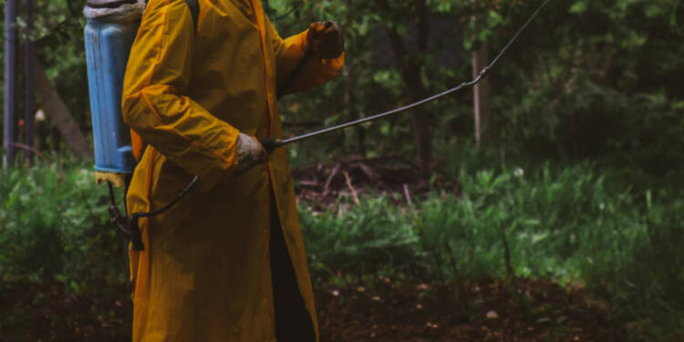 EAttachments94364955cd2fe92b5cfac6c343bf36e13331726 xl