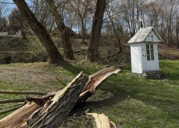 EAttachments94370820d150b63d76a4c6ae42f2c37669145f0 xl