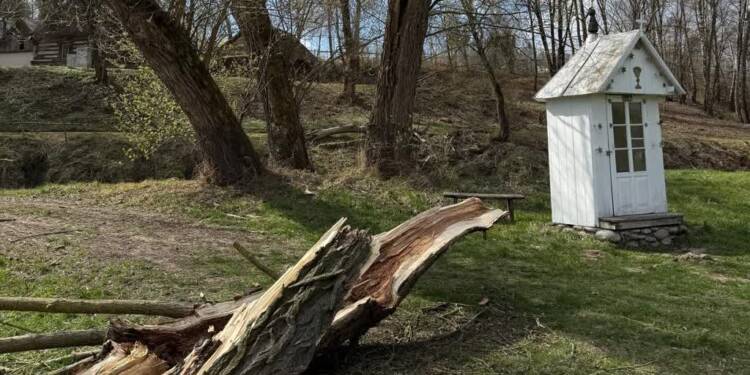 EAttachments94370820d150b63d76a4c6ae42f2c37669145f0 xl