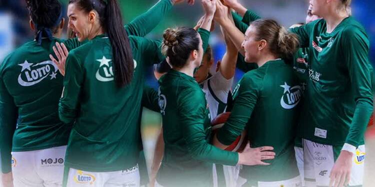 EAttachments9437771617a87ae7899cb4248fc47c8d47f7980 xl